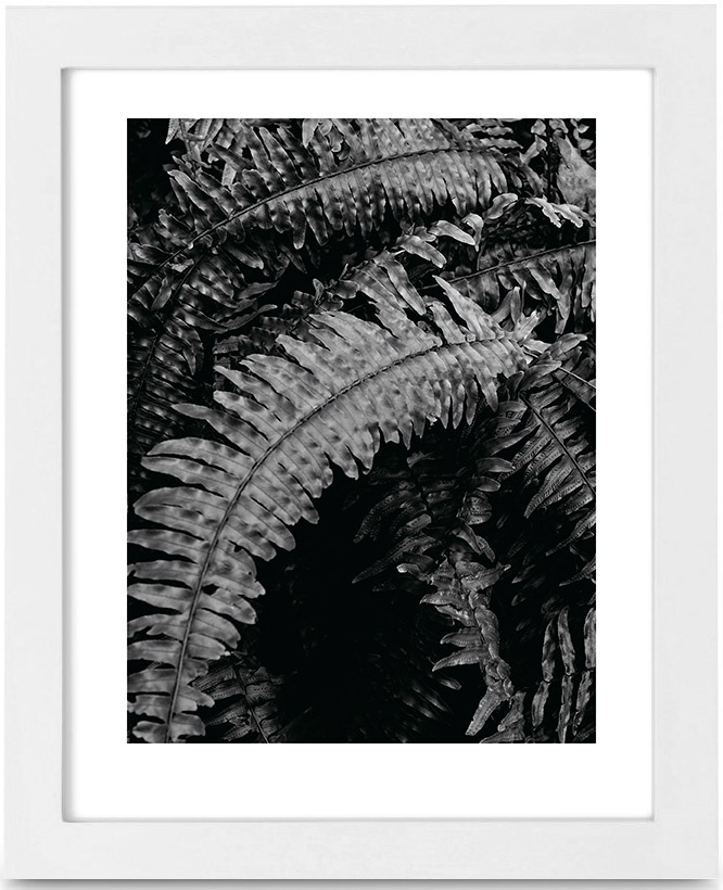 tenerife 01, 2016 - edition of 10